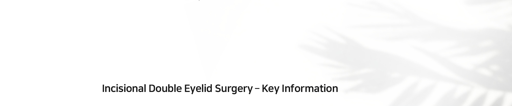 [Incisional Double Eyelid Surgery – Key Information]