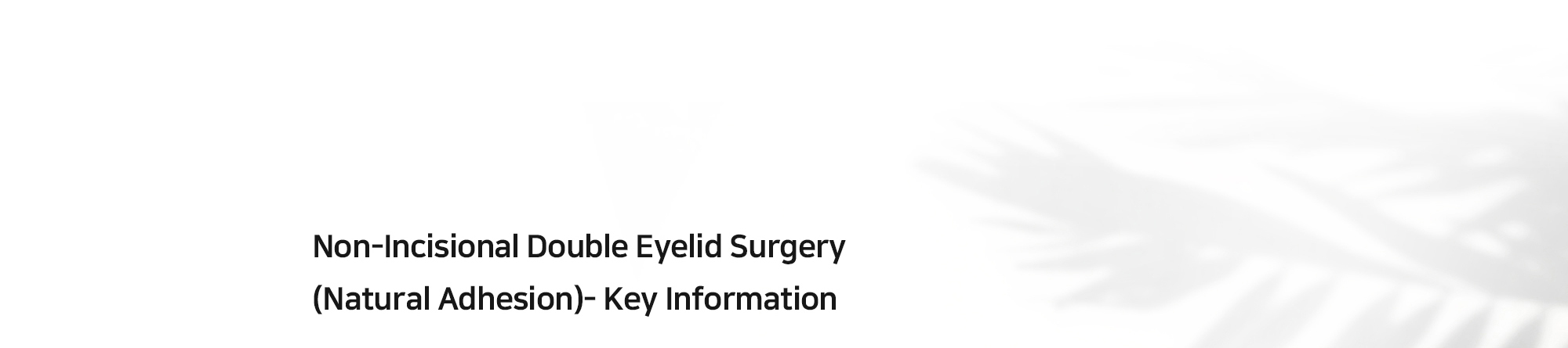 [Non-Incisional Double Eyelid Surgery (Natural Adhesion)- Key Information]