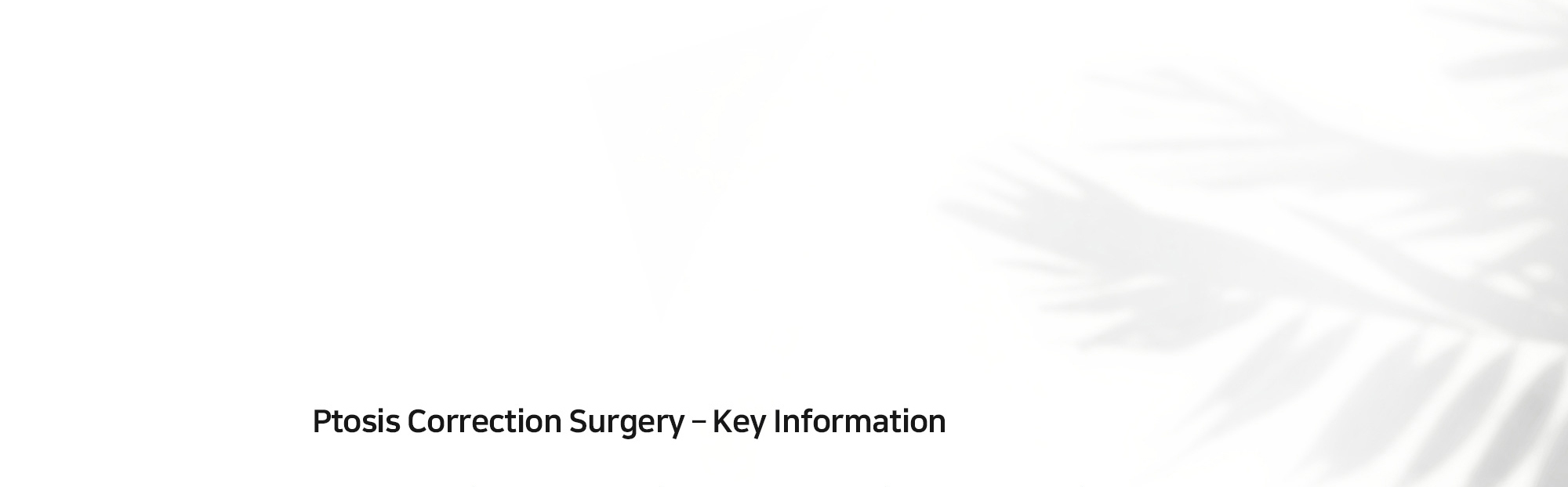 [Ptosis Correction Surgery – Key Information]