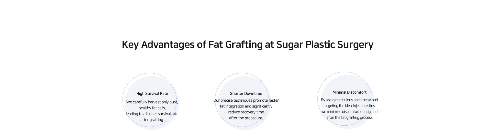 [Key Advantages of Fat Grafting at Sugar Plastic Surgery] High Survival Rate / Shorter Downtime / Minimal Discomfort