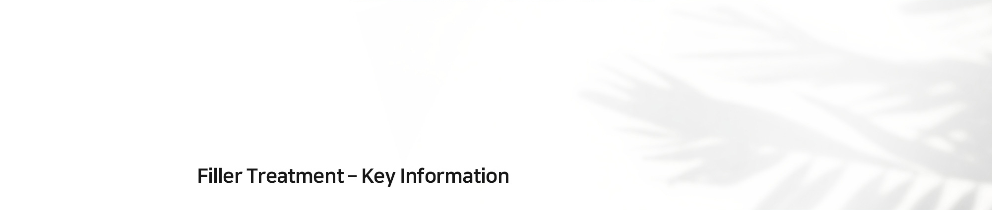 [Filler Treatment - Key Information]