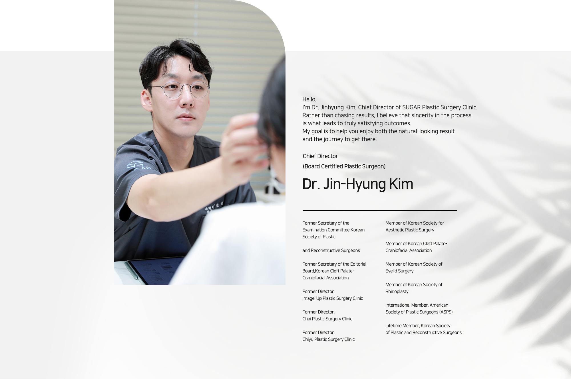 [Dr. Jin-Hyung Kim] Chief Director (Board Certified Plastic Surgeon) 