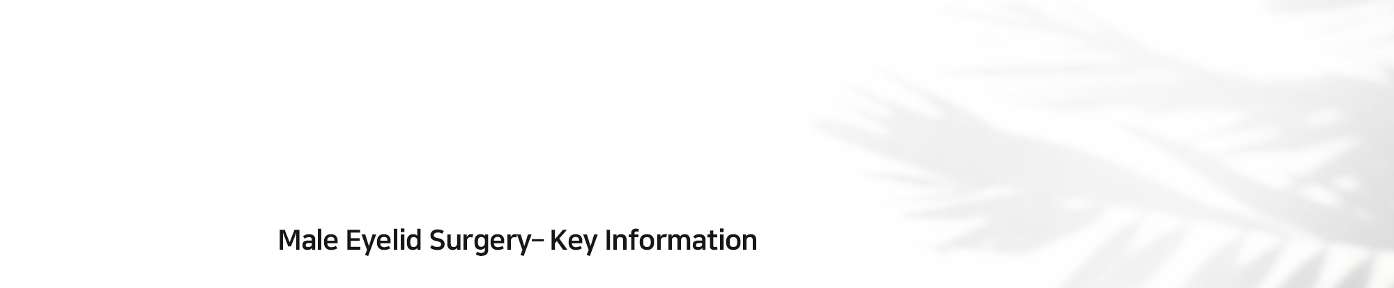 [Male Eyelid Surgery– Key Information]