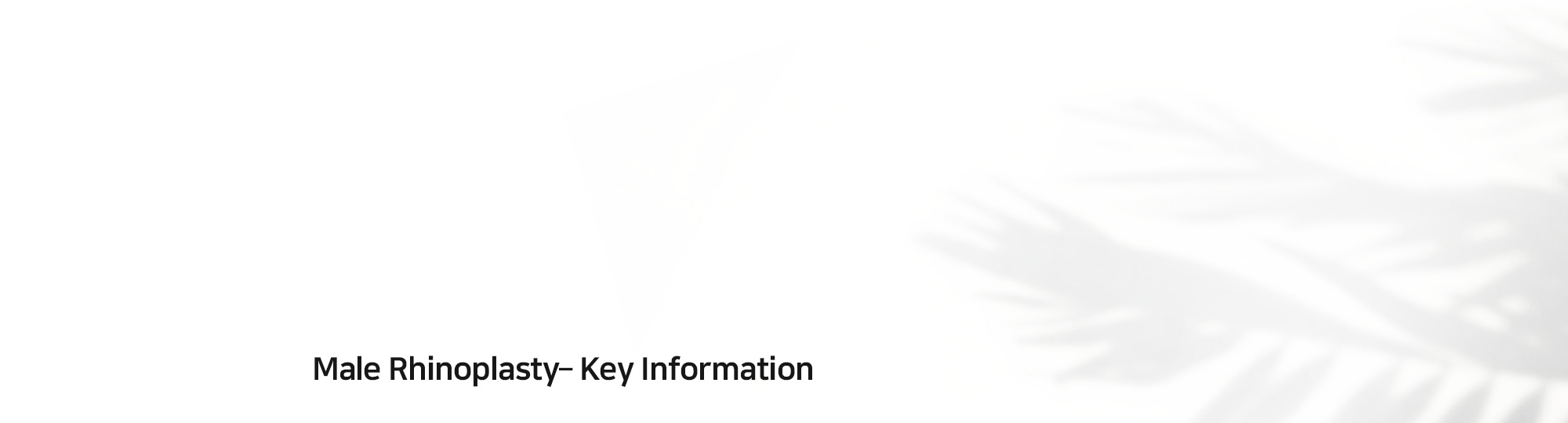 [Male Rhinoplasty– Key Information]