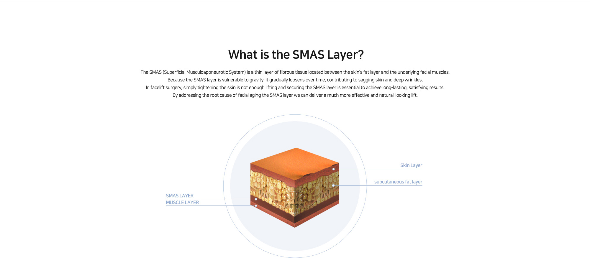 [What is the SMAS Layer?] The SMAS (Superficial Musculoaponeurotic System) is a thin layer of fibrous tissue located between the skin’s fat layer and the underlying facial muscles. Because the SMAS layer is vulnerable to gravity, it gradually loosens over time, contributing to sagging skin and deep wrinkles. In facelift surgery, simply tightening the skin is not enough lifting and securing the SMAS layer is essential to achieve long-lasting, satisfying results. By addressing the root cause of facial aging the SMAS layer we can deliver a much more effective and natural-looking lift.