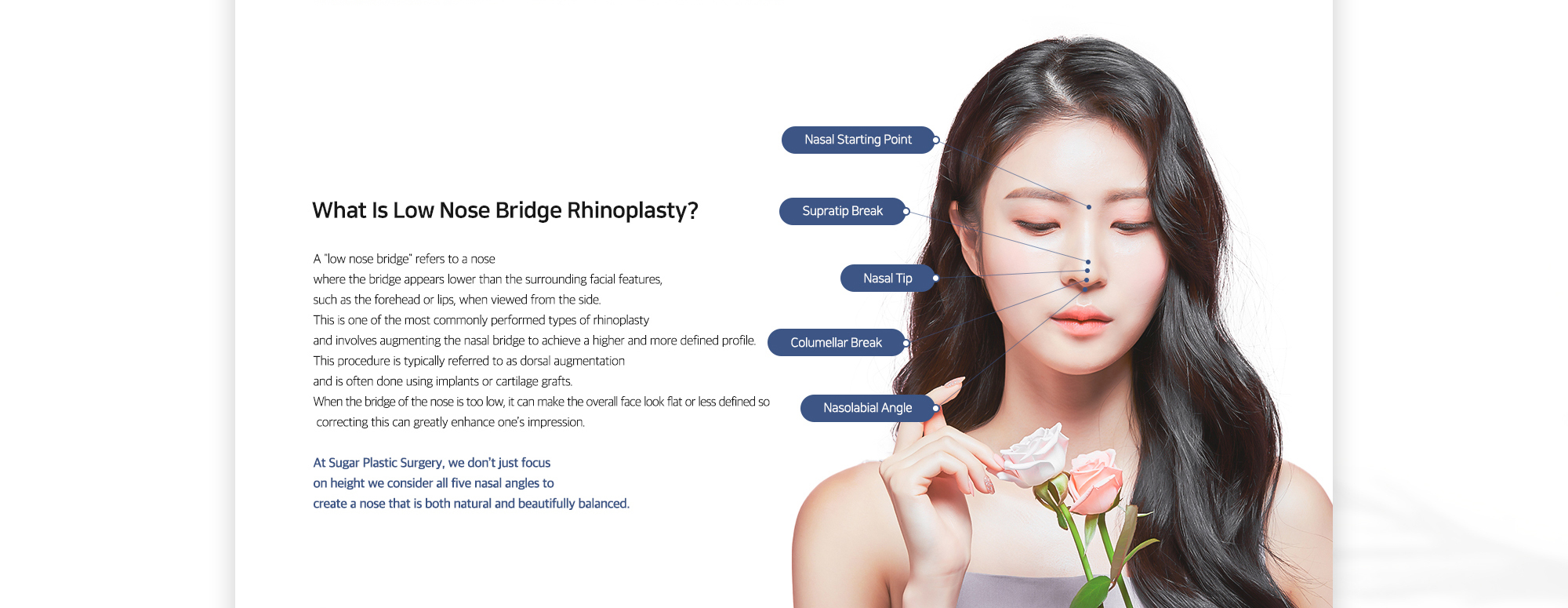 [What Is Low Nose Bridge Rhinoplasty?] At Sugar Plastic Surgery, we don’t just focus on height we consider all five nasal angles to create a nose that is both natural and beautifully balanced.