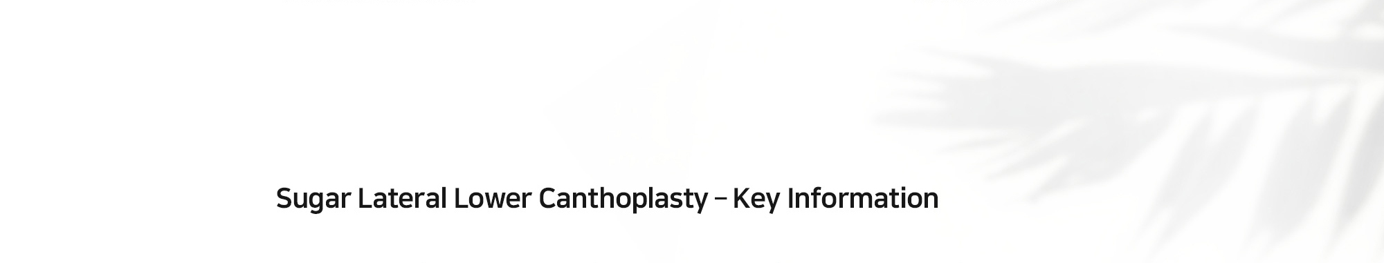 [Sugar Lateral Lower Canthoplasty – Key Information]